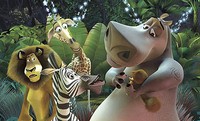 madagascar16.jpg