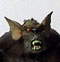 manbat00.jpg