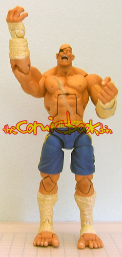 sagat01.jpg