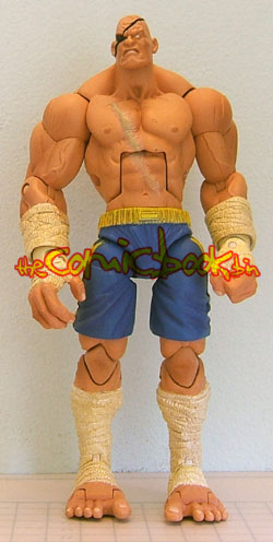 sagat05.jpg