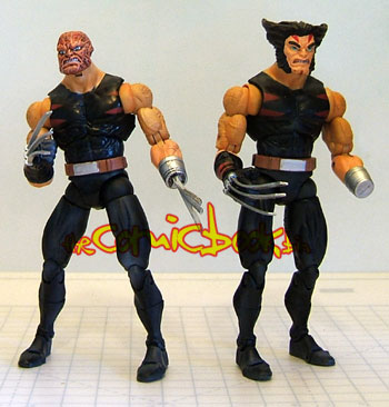 wolverine8.jpg