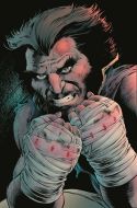 Wolverine_7_C2E2_1.jpg