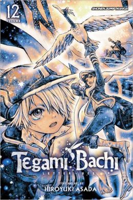 tegamibachi12.jpg