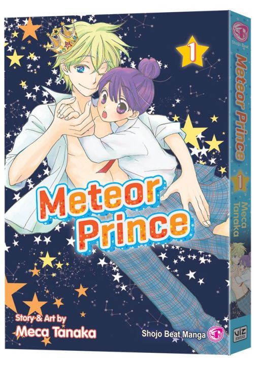 MeteorPrinceGN013D_1.jpg