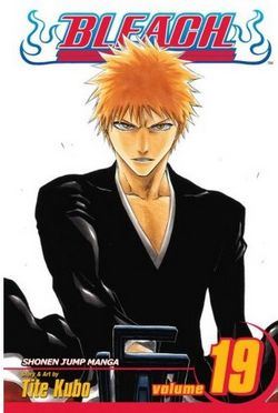 bleach19.jpg