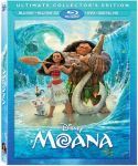 Moana3D_1.jpg