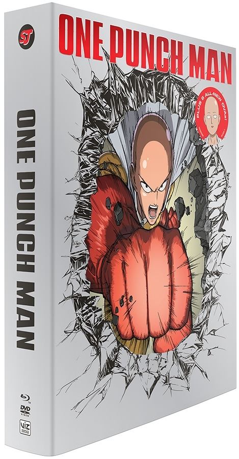 OnePunchMan-Set01-3D.JPG