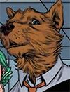 dog.jpg