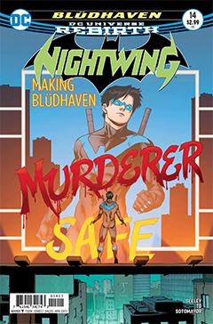 nightwing_014.jpg