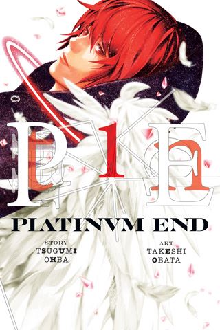 platinumend01.jpg platinumend01.jpg