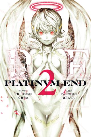 platinumend02.jpg