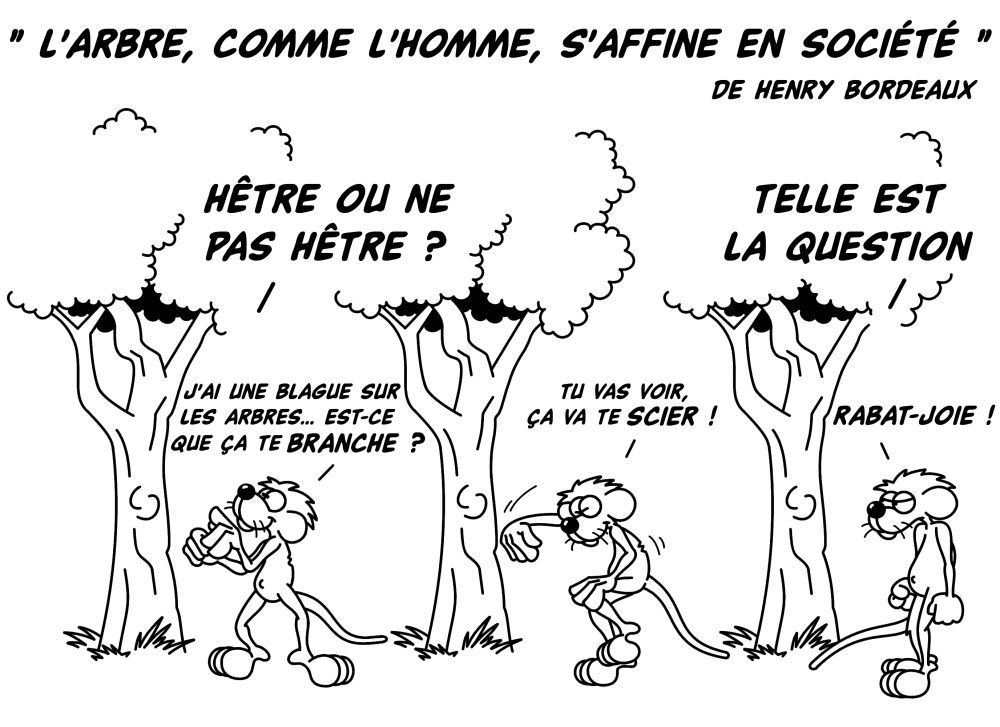 L_arbre__comme_l_homme__s_affine_en_soci__t___1.jpg