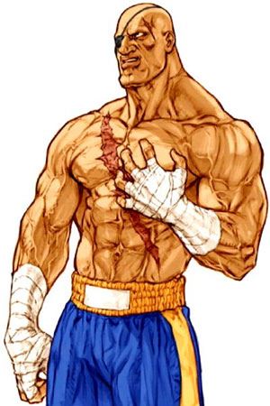 sagat01.jpg