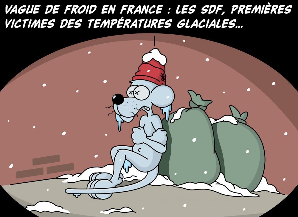 Vague_de_froid_en_France__CO__1.jpg