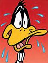 daffy-thumb.jpg