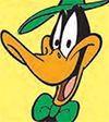 daffy-thumb_2.jpg