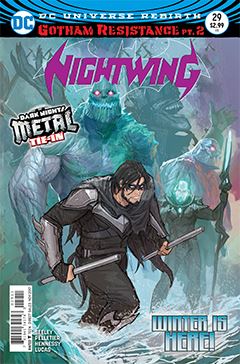 nightwing-029.jpg