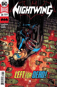 nightwing-036.jpg