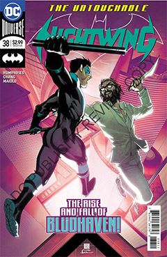 nightwing-038.jpg