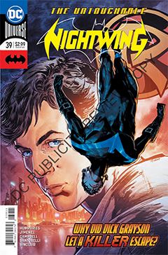 nightwing_039.jpg