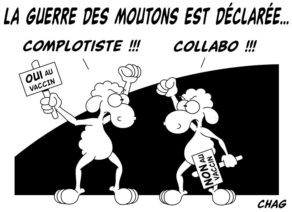 La_guerre_des_moutons_-_Copie__2_.jpg