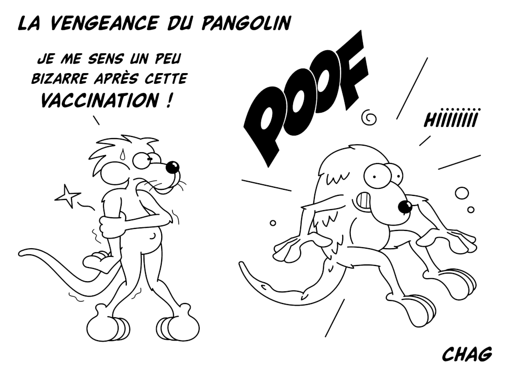 La_vengeance_du_pangolin_-_Copie.jpg