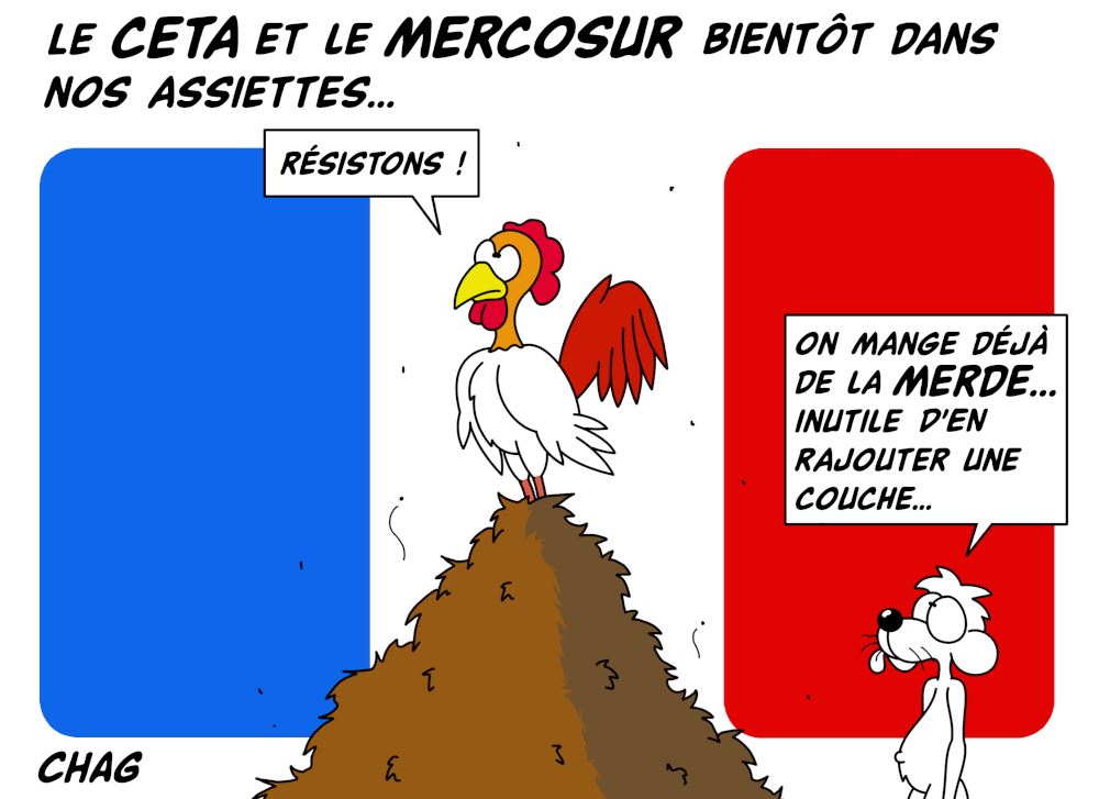 Le_CETA_et_le_MERCOSUR_-_Copie__2_.jpg