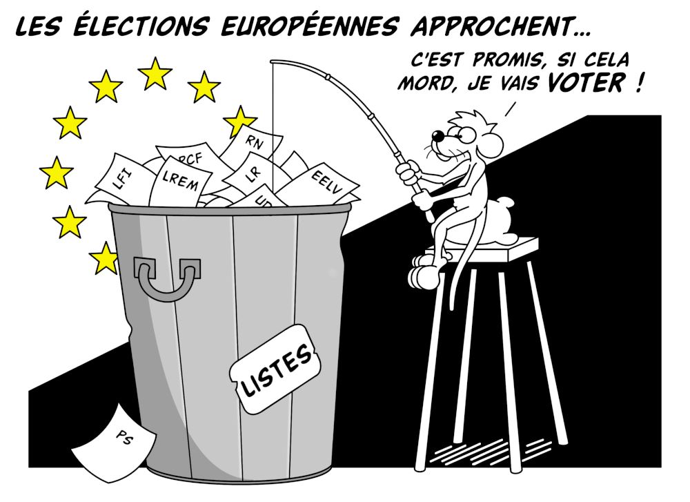 Les___lections_europ__ennes_approchent__CO__-_Copie_1.jpg