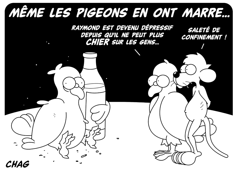 M__me_les_pigeons_en_ont_marre__._-_Copie__2_.jpg