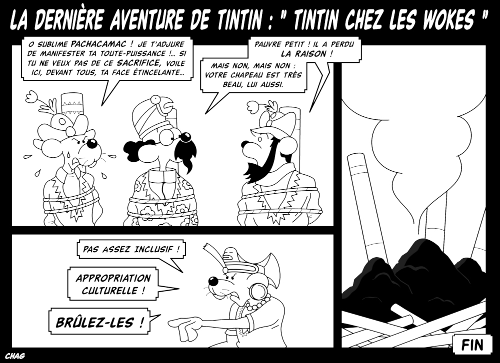 Tintin_chez_les_wokes_-_Copie__2_.jpg