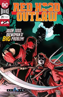 red_hood_outlaw_029.jpg