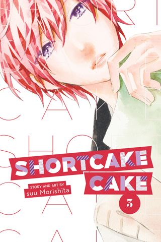 shortcakecake03.jpg