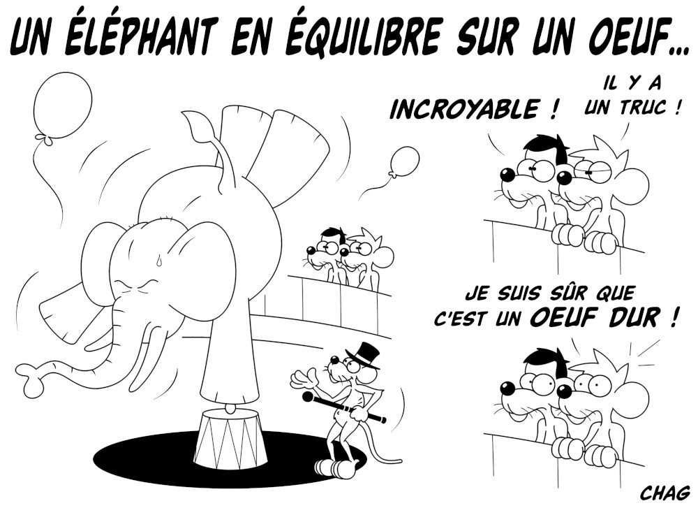 Un___l__phant_en___quilibre_sur_un_oeuf.jpg
