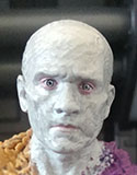 metamorpho00.jpg
