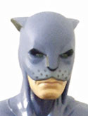 wildcat0.jpg