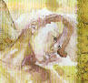 David_Mack_Thbn_1.jpg