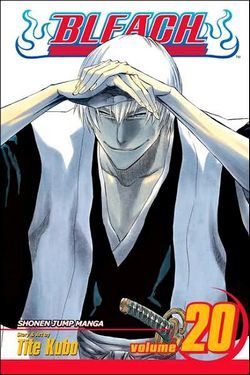 bleach20.jpg