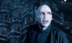 harrypotter502.jpg harrypotter502.jpg