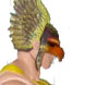 ichawkman04t.jpg