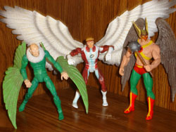 ichawkman06.jpg