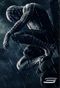 spiderman3thumb.jpg