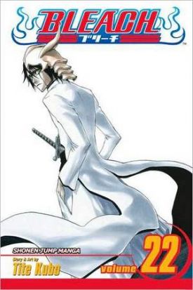 bleach22.jpg bleach22.jpg