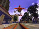 skateitwii014_small.jpg