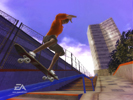 skateitwii015_small.jpg