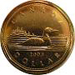 Loonie_summarysize.jpg