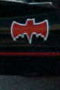 batvettethumb_1.jpg
