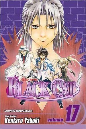 blackcat17.jpg blackcat17.jpg