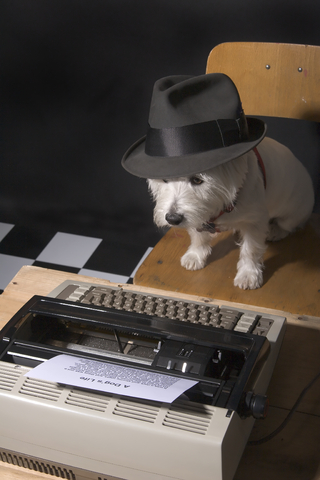 newswriter.jpg