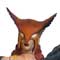 hawkgirl00.jpg