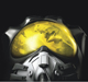 hawx-helmet_summarysize.jpg
